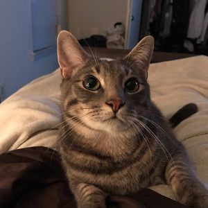 Meet your Posher, Austin